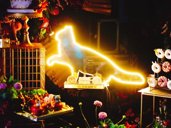 寧波元旦晚會搭配燈光租賃設備找誰？